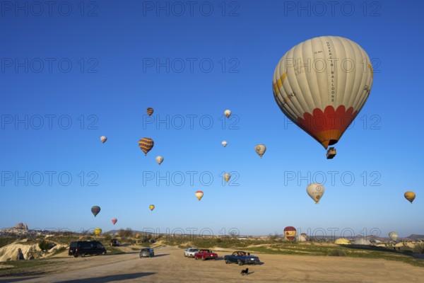 Several balloons float over a vast meadow landscape, with cars on the ground, hot air balloons, Göreme Tarihî Millî ParkÄ±, Nevsehir province, Nevsehir, Cappadocia, Capadocia, Cappadocia, Central Anatolia, Turkey