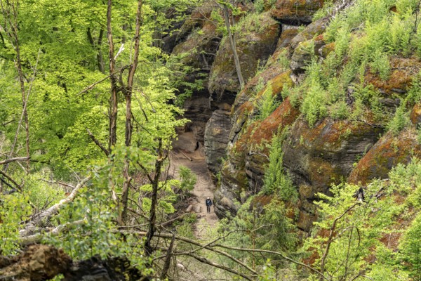 Hiking trail in the Bohemian Switzerland National Park near HÅ™ensko, Czech Republic