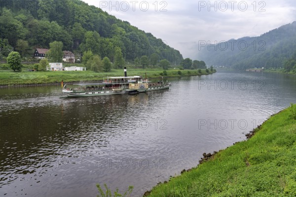 The paddle steamer Kurort Rathen on the Elbe between Germany and the Czech Republic near HÅ™ensko, Czech Republic