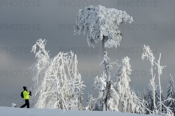 Winter on Kahler Asten, Sauerland, North-Rhine Westphalia, Germany