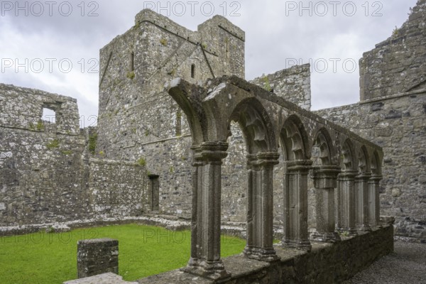 Cloister in the Ruins of Fore Apbbey, Fore, County Westmeath, Ireland