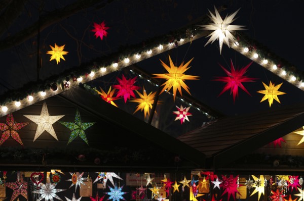 Night shot, sales stand for poinsettias glowing stars, decoration, Christmas stalls, Christmas market, blue hour, Stuttgart, Baden-WÃ¼rttemberg, Germany