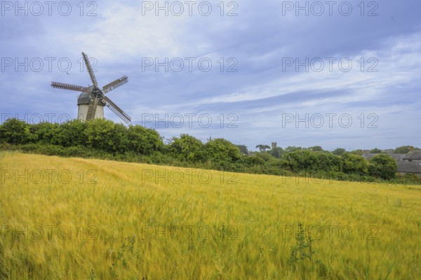 Cornfield and the Great Windmill, Skerries, County Dublin, Ireland