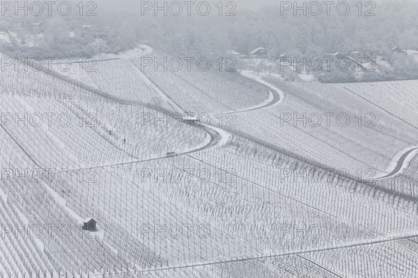 Snowy vineyards in the Stuttgart region in winter. Winter view of the vineyards in Fellbach, Kappelberg, Germany