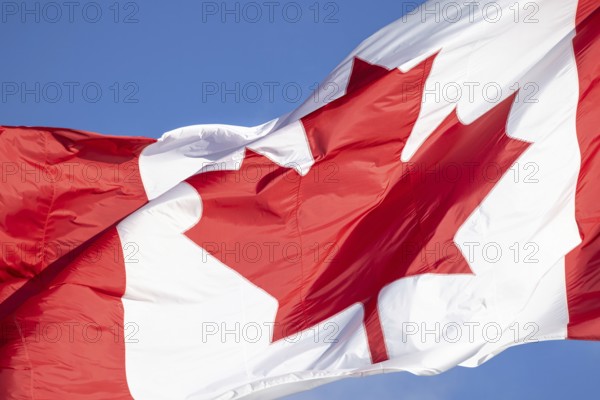 Red and white Canadian flag with a maple leaf waving in the air in downtown Toronto near Ontario Lake. Canadian patriotism and culture