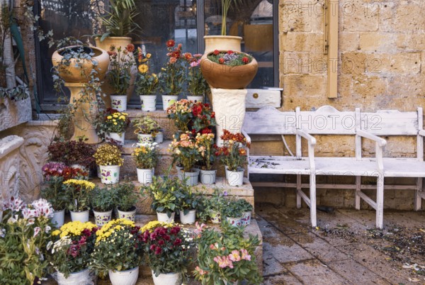 Israel, Tel Aviv Namal Yafo historic Old Jaffa port with art galleries, boutiques and old houses