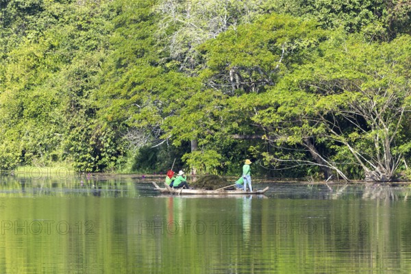 Women harvest seagrass, water channel in Angkor Thom, UNESCO World Heritage Site, Siem Reap, Cambodia