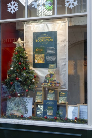 Waterstones Book of the Year, The Artist by Lucy Steed, books in window display of Waterstones bookshop, Ipswich, Suffolk, England, UK