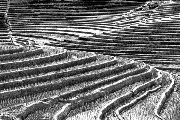 Terrace rice paddies north of Antosari, Bali, Indonesia