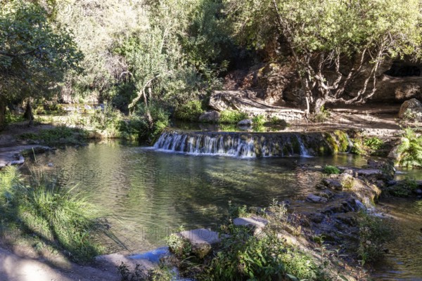Gentle waterfall on a river surrounded by trees, playing with light and shadow, El Kelaa torrent in Morocco