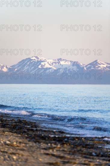 Anchor Point beach on Cook Inlet in the evening light, snowy mountain peaks of the Kenai Peninsula, Anchor River State Recreation Area, Alaska, USA