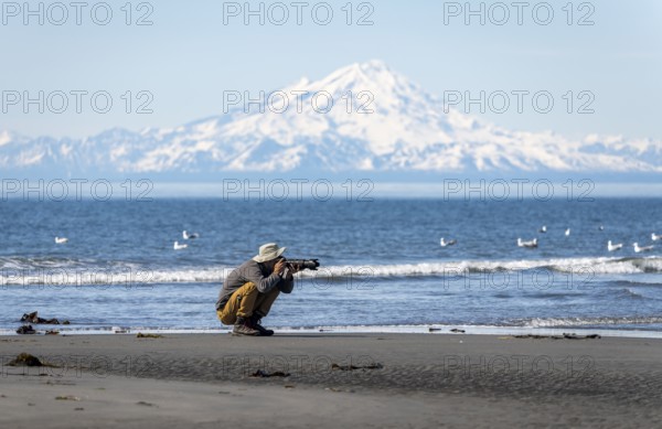 Nature photographer photographs birds on the beach, with white mountain peaks of Mount Redoubt in the background, mountains of the Aleutian range, Anchor Point, Anchor River State Recreation Area, Alaska, USA