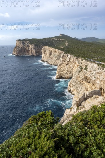 View of steep cliffs by the sea, coastal landscape, cliffs on the Capo Caccia headland, Alghero, Sardinia, Italy