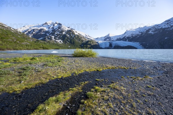 On the shores of Portage Lake, Snowy Mountains and Glaciers Portage Glacier, Chugach National Forest, Alaska, USA