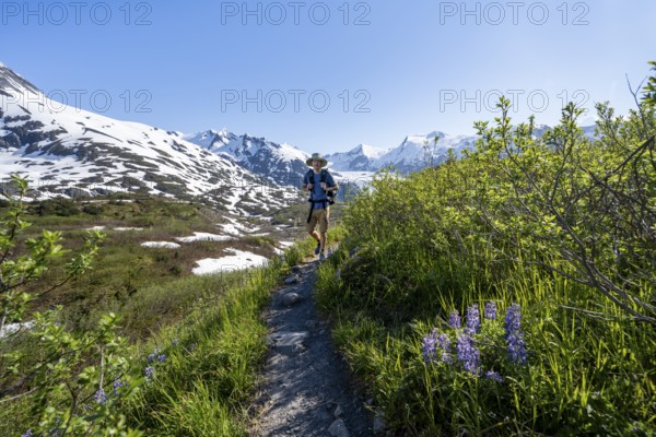 Hikers on the Portage Pass Trail, snow-covered mountains and Portage Glacier glaciers, near Whittier, Alaska, USA