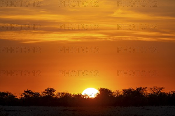 Sunset, atmospheric sunset, Etosha National Park, Namibia