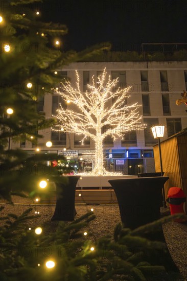 Evening shot of a decorative, festively lit tree in a city environment, Sindelfingen, Böblingen district, Germany