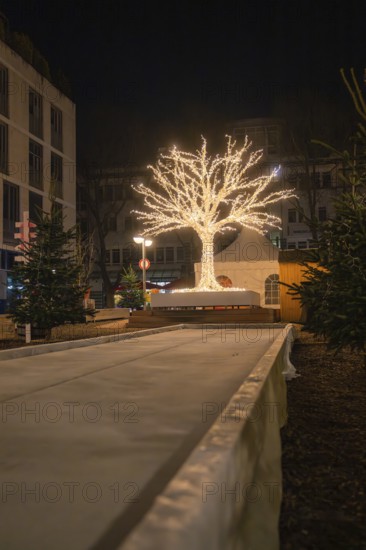 Illuminated tree in an urban environment at night, spreading a festive atmosphere, Sindelfingen, Böblingen district, Germany