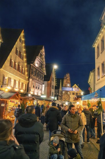 Evening Christmas market with illuminated half-timbered houses and festive atmosphere, Christmas market 2025, Nagold, Black Forest, Calw district, Germany