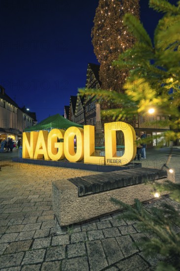 Glowing Nagold lettering and Christmas tree in the city center at night, Christmas market 2025, Nagold, Black Forest, Calw district, Germany