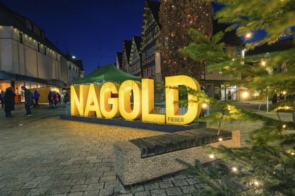 Illuminated Nagold lettering on Christmas market with Christmas tree, Christmas market 2025, Nagold, Black Forest, Calw district, Germany