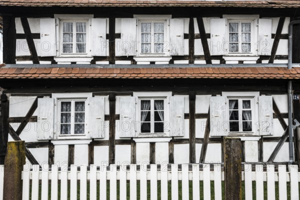 Village made entirely of half-timbered houses, Seebach, Alsace, Bas-Rhin department, France