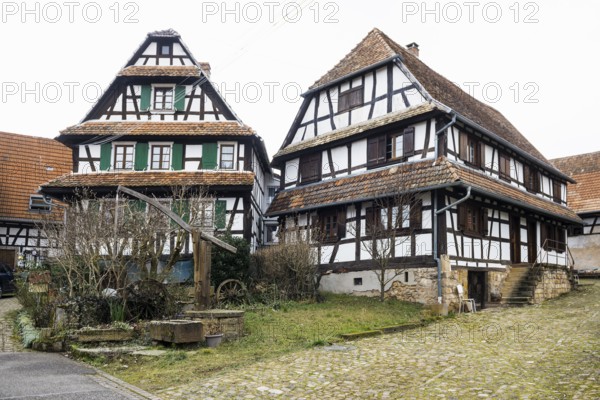 Village made entirely of half-timbered houses, Hunspach, Alsace, Bas-Rhin department, France