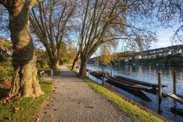 Autumn atmosphere on the banks of the Rhine, Rhine promenade near Schaffhausen with traditional wooden boats, so-called Weidlings, Canton of Schaffhausen, Switzerland