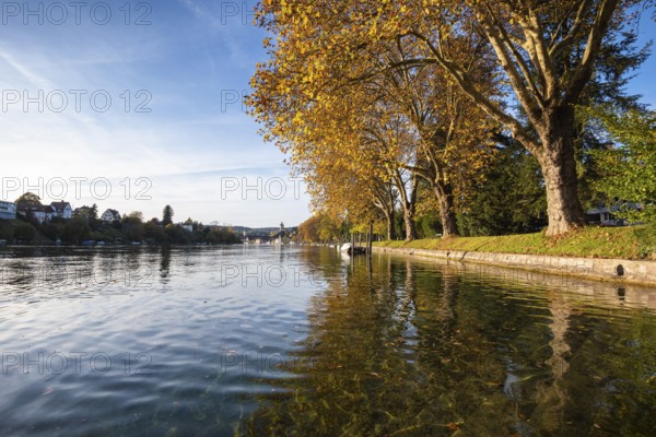 Autumn atmosphere on the banks of the Rhine, Rhine promenade near Schaffhausen, Canton of Schaffhausen, Switzerland
