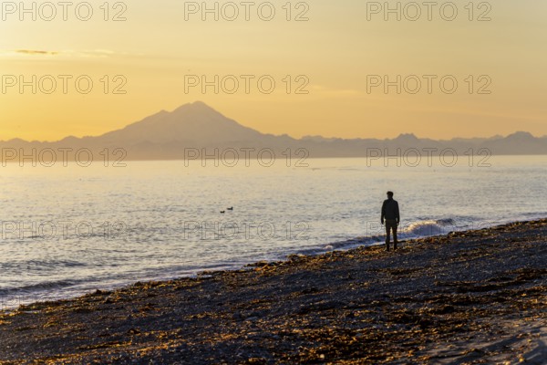 Young man walking along the beach at sunset, view across Cook Inlet to white mountain peaks of Mount Redoubt, Aleutian Range Mountains, Anchor Point, Anchor River State Recreation Area, Alaska, USA