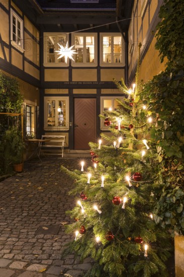 Decorated Christmas tree and Herrnhut star on a half-timbered house in the historic village center of Loschwitz during Advent, Dresden, Saxony, Germany