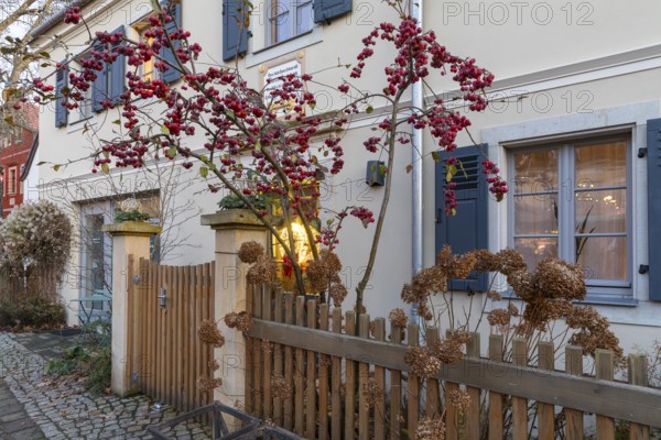 Christmassy and naturally decorated historic house in the village center of Loschwitz during Advent, Dresden, Saxony, Germany