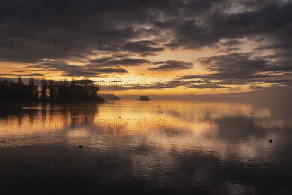 Morning lighting, water reflections, silhouettes on the lakeside near Radolfzell am Lake Constance, on the left the Mettnau peninsula with Love Island, district of Constance, Baden-WÃ¼rttemberg, Germany