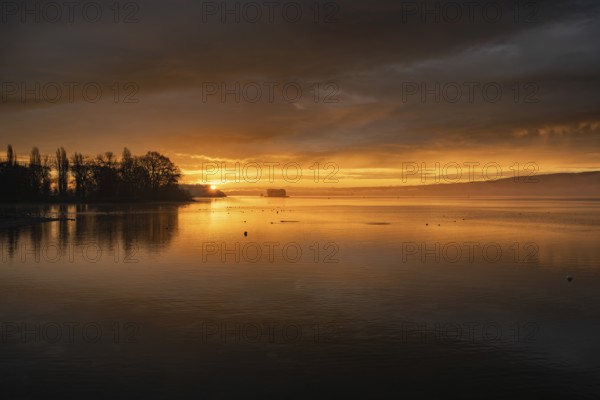 Morning lighting, water reflections at sunrise, silhouettes on the lakeside near Radolfzell am Lake Constance, on the left the Mettnau peninsula with Love Island, district of Constance, Baden-WÃ¼rttemberg, Germany