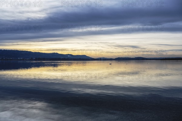 Evening lighting, water reflections, on the lakeside near Radolfzell am Lake Constance, Konstanz district, Baden-WÃ¼rttemberg, Germany
