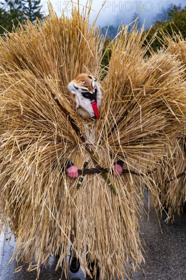 Buttnmandl, Bischofswiesen, Berchtesgadener Land, Upper Bavaria, Bavaria, Germany