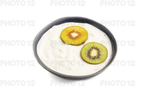 Yogurt, with kiwi in blue bowl isolated on white background, side view, close up, minimalism
