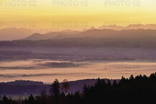 View from Horben of the Reuss Valley covered in fog, behind it the Glarus Alps in the light of the rising sun, Beinwil-Freiamt, Canton, Aargau, Switzerland