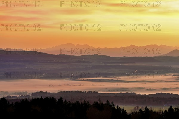 View from Horben of the Reuss Valley covered in fog, behind it the Alpstein with the SÃ¤ntis in the light of the rising sun, Beinwil-Freiamt, Canton, Aargau, Switzerland