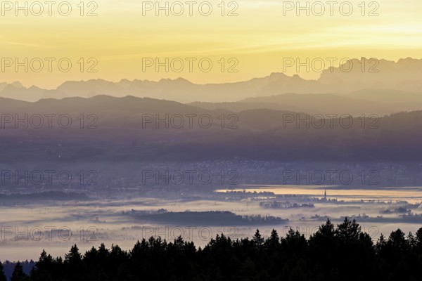 View from Horben of Lake Zug with the city of Cham and Zug covered in fog, behind it the snow-capped mountains FlÃ¼brig and VrenelisgÃ¤rtli in the light of the rising sun, Beinwil-Freiamt, Canton, Aargau, Switzerland