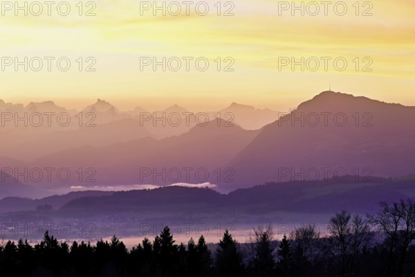 View from Horben of the midlands lying in fog, behind it the Alps with the Rigi, Beinwil-Freiamt, Canton of Aargau, Switzerland