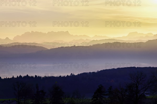 Glarus Alps with the FlÃ¼brig and VrenelisgÃ¤rtli mountains, in the light of the rising sun, Auw, Freiamt, Canton, Aargau, Switzerland