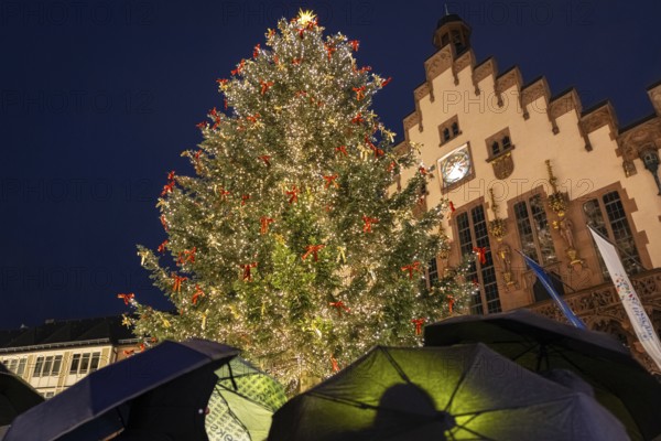Visitors to the Frankfurt Christmas market protect themselves from the rain with umbrellas in the evening, Römerberg, Frankfurt am Main, Hesse, Germany