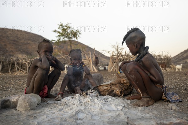 Himba children sitting by the fire in the morning light, traditional Himba village, Kaokoveld, Kunene, Namibia