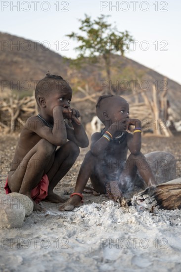 Himba children sitting by the fire in the morning light, traditional Himba village, Kaokoveld, Kunene, Namibia