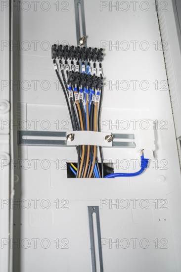 Close-up of a distribution box with several colored cables and connectors, electrician, new building, Germany