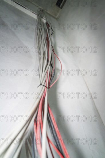 Close-up of cables running side by side along a whitewashed wall, electrician, new building, Germany