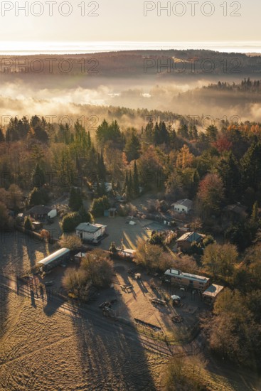 Autumn homestead surrounded by colorful forest and fog at dawn, Gechingen, Hecken and GÃ¤u region, Calw district, Germany