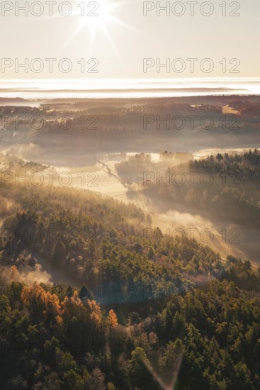 Dense forests at dawn with sun rays penetrating the fog, Gechingen, Hecken and GÃ¤u region, Calw district, Germany