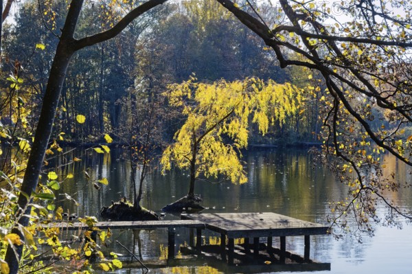 Autumn colors and a fishing platform on Sandbrack, a lake in the Kirchwerder district of Hamburg. FÃ¼nfhausen, Kirchwerder, Hamburg, Germany